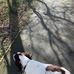 Taylor Forman - Facebook