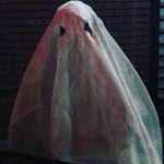 Taylor - @taylorfreelsofficial - Instagram