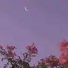 Taylor Funk - @taylor.funk1 - TikTok