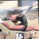 Taylor Gandy - @taylorgandy2022 - Instagram