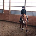 Taylor Geisel - @taylor.geisel.75 - Instagram