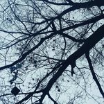 taylorgeisler - @taylorgeisler2 - Instagram