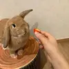 Taylor Gift - @taylor.gift0 - TikTok