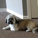 Taylor Melissa Greeson - @puppydog_newton - Instagram