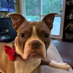 Taylor Hacker - @hacketf - Instagram