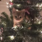 Taylor Hadley - Facebook