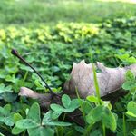 Taylor Hager - @taylor_hager07 - Instagram