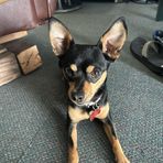 Taylor Hanks - Facebook