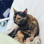 Taylor - @taylorhannon11 - Instagram