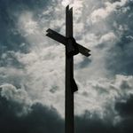 Taylor Harrelson - @east_west_daily - Instagram