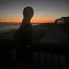 Taylor🩵🪼 - @taylor.haskins15 - TikTok