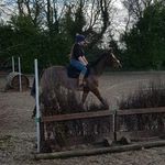 Taylor Hatton - @hatton_breaking_and_sales - Instagram