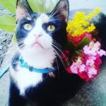 Taylor Havens - @kittygirl1033 - Instagram