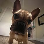 Taylorhawksworth - @taylorhawksworth_ - Instagram