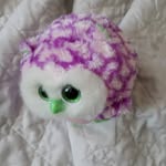 Taylor Haws - @hsws3566 - Instagram