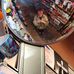 Taylor Hedenberg - Facebook