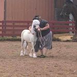 Taylor Hedrick - @equestriangirl0 - Instagram