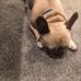 Taylor Heitmann - Facebook