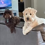 Belinda Taylor Heller - @btheller1 - Instagram