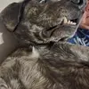 Taylor Hersh - @taylor.hersh - TikTok