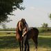 Taylor Hinton - Facebook