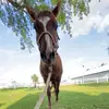 taylorhite - @taylorhite - TikTok