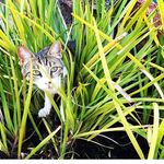 Heather Taylor Holbert - @htholbert - Instagram