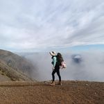 Taylor Holbert - @holberttaylor - Instagram