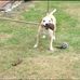 Taylor Humphreys - Facebook