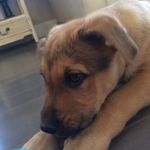 Taylor jansen - @taylor_4313 - Instagram