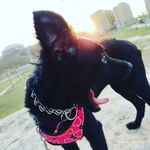 Raven Marget Taylor Jaramillo - @raven_patitas - Instagram