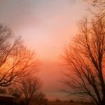 Taylor Jasinski - @empty__disco - Instagram