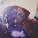 taylor june jasinski - @taylorjune097 - Instagram