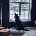 Taylor Johnstone - Facebook
