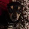 taylorkeen - @taylorkeen80 - TikTok