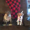 Kimberli Taylor - @kimberlitaylor - TikTok