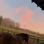 Taylor Kitchen - @taylorkitchen2 - Instagram