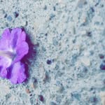 Taylor Kitchen - @taylorkitchen_photography - Instagram