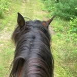 Taylor Kitchen - @taylorkitchen3 - Instagram