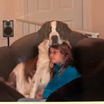 Taylor Kline - @tkveg - Instagram