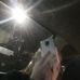 Taylor Lantz - Facebook