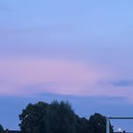 Lavender Taylor Swift - @lavendertaylorswift - Instagram