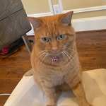 Taylor - @taylor_lavendery - Instagram