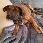 Taylor Ledet - Facebook