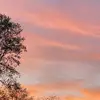Taylor lester - @taylor_lester67 - TikTok