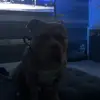 Taylor Leys - @taylor.leys5 - TikTok