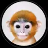 Taylor Plowman - @taylor.plowman7 - TikTok
