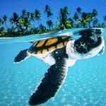 Taylor Ludwig - @tayludwig05 - Instagram