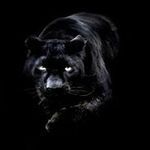 Taylor Luster - @taylor_5036 - Instagram