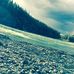 Taylor Macleod - Facebook